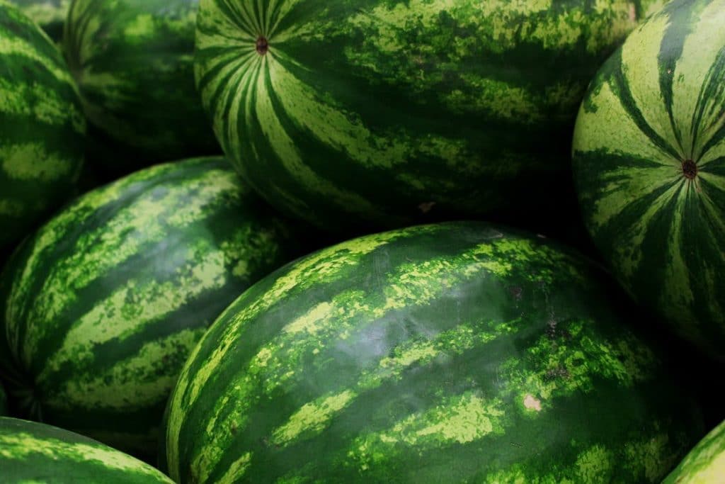 Green and Yellow Watermelon Fruit