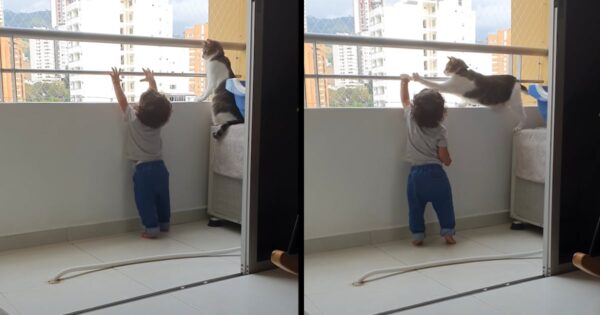 Child’s Guardian Angel Keeps Him From Getting Too Close To The Balcony Ledge