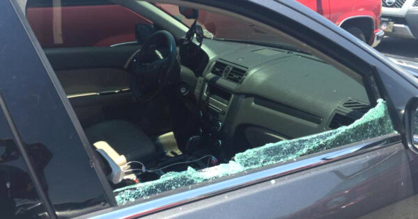 Cops Smash A Window On A 91-Degree Day To Save The Tiniest Puppy