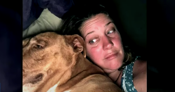 Couple Wakes Up To Find An Unfamiliar Dog Snuggled In Their Bed