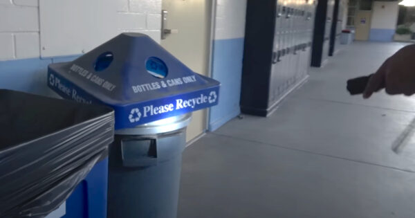 Custodian Was Taking Out The Trash When He Saw A Stray Family At The Bottom