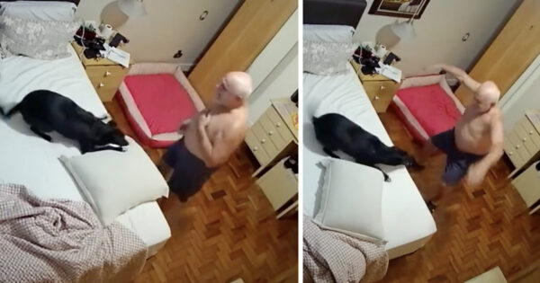 Dad & Dog Have A Nighttime Routine To Satisfy Lola’s Second Wind Before Bed