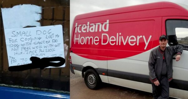 Delivery Driver Sees Customer’s Note Asking For A Dog Friend, Sets Out To Help