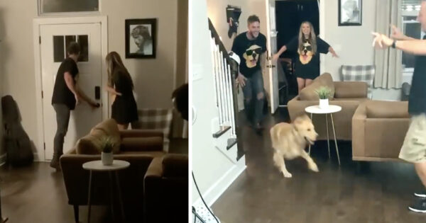 Dog Arrives At The Door For His Very Own Surprise Party