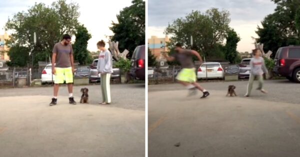 Dog Passes The Runaway Challenge To See Which Owner She Loves The Most