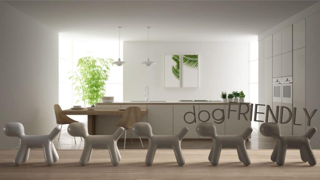 Puppy proofing the home