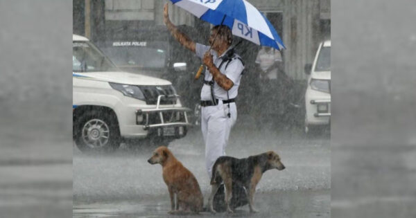 During Heavy Downpour, Cop’s Seen Keeping Stray Dogs Dry With His Umbrella