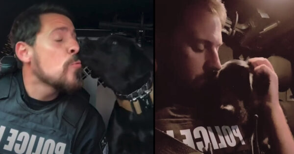 Faithful K9 Puppy Kisses Her Dad After Every Shift