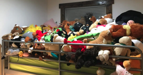 Family’s Cat Hides In A Pile Of Toys, And People Have A Hard Time Spotting Him