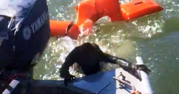 Fisherman Throws Life-Jacket To Save Drowning Dog But It’s ‘Not-A-Dog’ At All