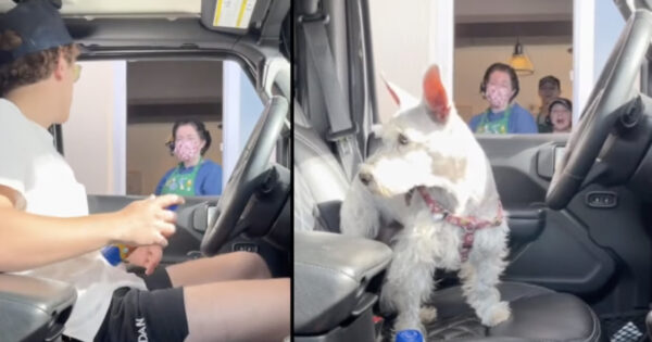 Guy Turns Into Dog At Drive-Thru Window Much To The Employees’ Delight