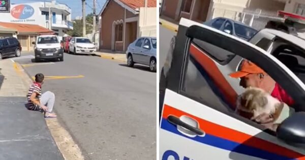 Heartbroken Boy Sits On The Curb As A Vehicle Approaches With His Lost Dog