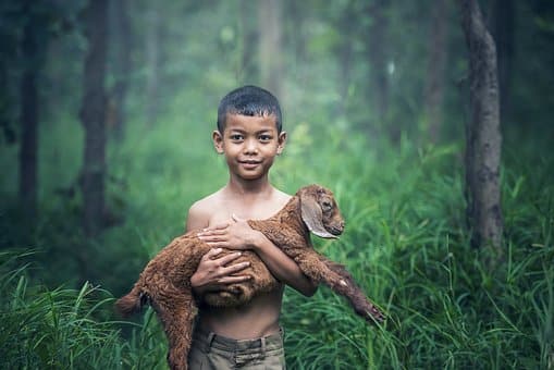 Boys, Outdoor, Thailand, Baby, Mammal