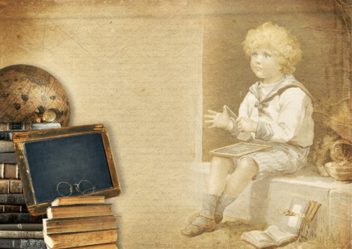 How To Crate Train My Cat