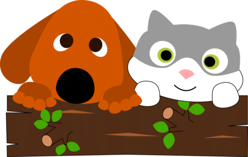 How To Get Cat To Use Cat Tree