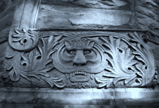 How To Travel With Two Cats