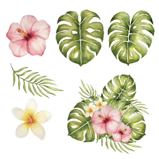 Is Hibiscus Poisonous To Cats