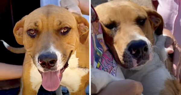 Lady Was So Thankful For Them After Hit & Run Left Her Helpless