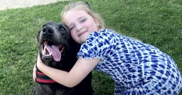 Little Girl Grieving At Her Dad’s Funeral Stops Stranger To Pet Their Dog