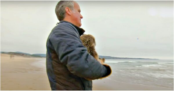 Man Held Baby Critter, Paraded Her Up And Down Beach So Her Cries Were Heard