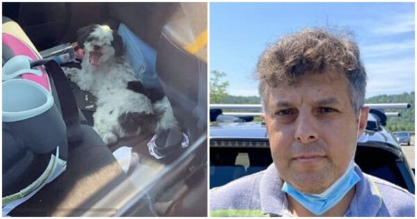 Man Leaves Small Terrier In Hot Car For 26 Minutes To Go Do Some Shopping