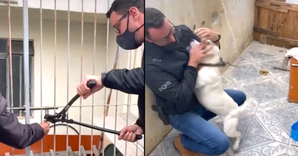 Man Sets Neglected Dog Free, And She Repays Him With Kisses
