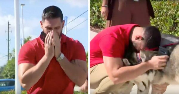 Man Stumbles Upon His Missing Dogs In The Middle Of Pet Adoption Photoshoot