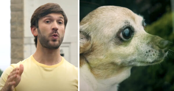 NASCAR’s Daniel Suárez Stops To Help A Dog Locked In A Hot Car