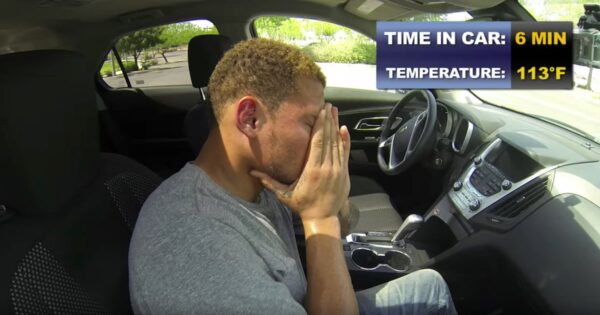 NFL Star Sits In A Hot Car To Show What Dogs Endure In High Temperatures