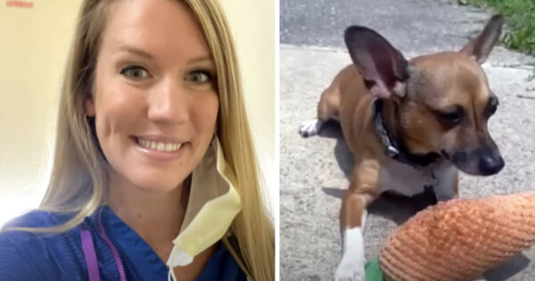 Nurse Being Hailed A Hero For Adopting Dog After Owner Dies