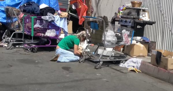 On The Way To Rescue A Dog Who Was Tossed From A Car, They Find A Sick Kitten