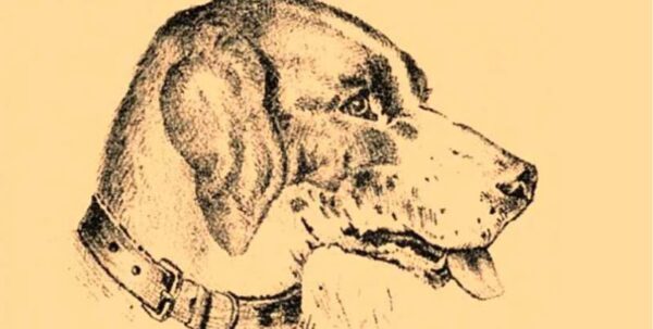 “Optical Illusion Vision Test”: Find Dog’s Master in 7 Seconds!