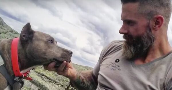 Recovering Addict Adopts Dog From The Euthanasia List, But She Won’t Look Him In The Eye