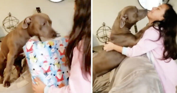 Rescue Dog Thanks Girl For The Gift That Solidifies Their New Life Together