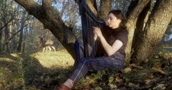 She Starts Playing The Harp, And A Deer Emerges From The Woods