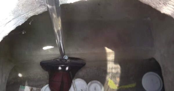 Someone Had Left Plates Of Food For The Feral Family Who Lived Below