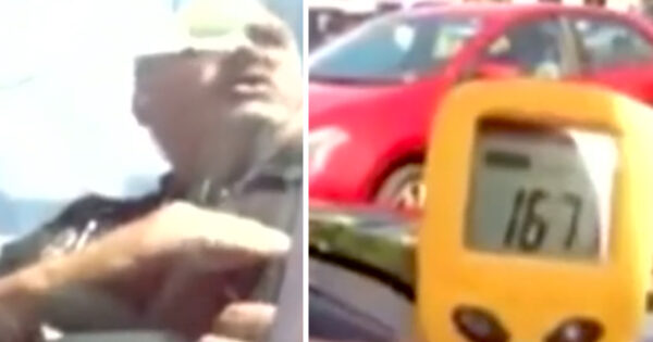 Someone Went To The Movies And Left Their Dogs In The Car Alone