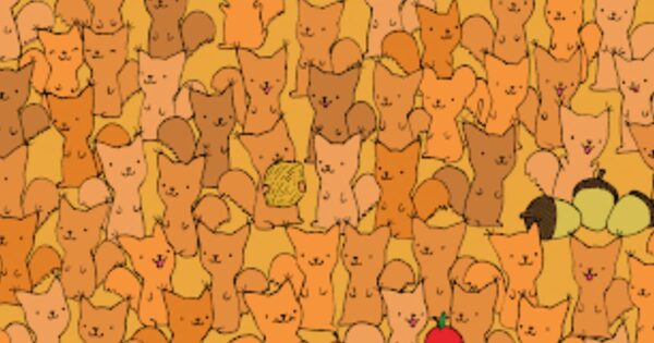 Spot The Mouse Hanging Out With All Of The Squirrels