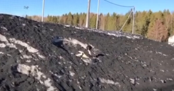 Spot The Poodle Who Happens To Blend In With A Big Pile Of Dirty Snow
