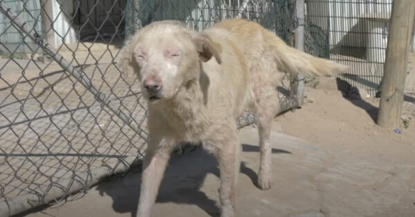 Street Life Was Hard On Fish, But His Second Chapter As Sunny Is All Smiles