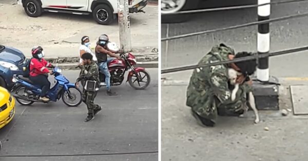 Struggling Street Singer Consoled By Dog After Being Ignored By Passersby