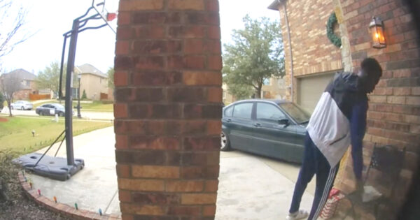 The Food Delivery Is Here, But The Dog Next Door Takes Care Of It