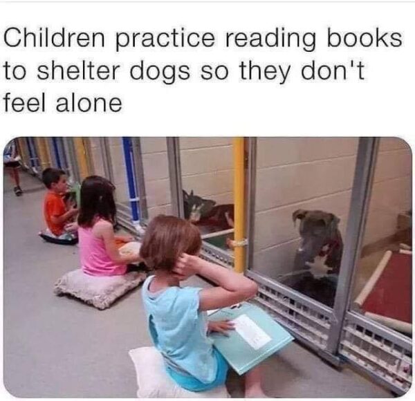 These kids are reading to shelter dogs for sweetest reason
