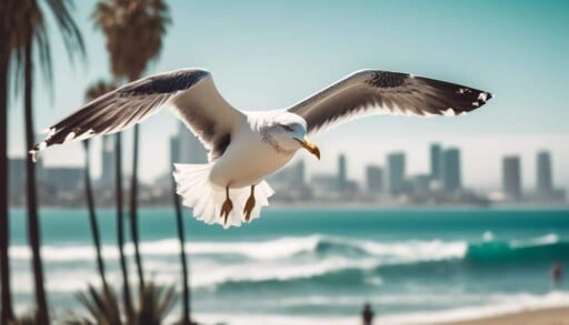 coastal seabird with gray plumage and yellow bill
