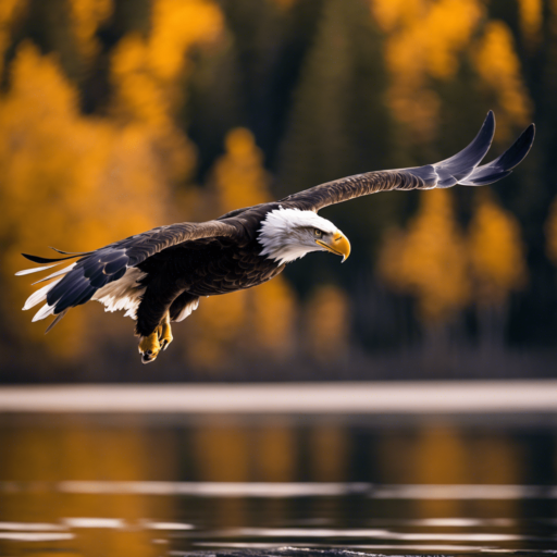 Top 15 Types Of Birds In Manitoba (with Photos)