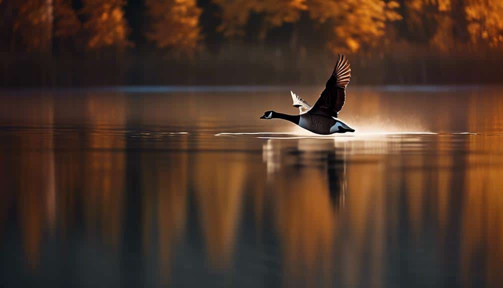 popular winter jacket brand