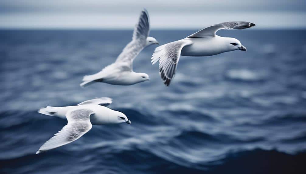 marine birds with unique adaptations