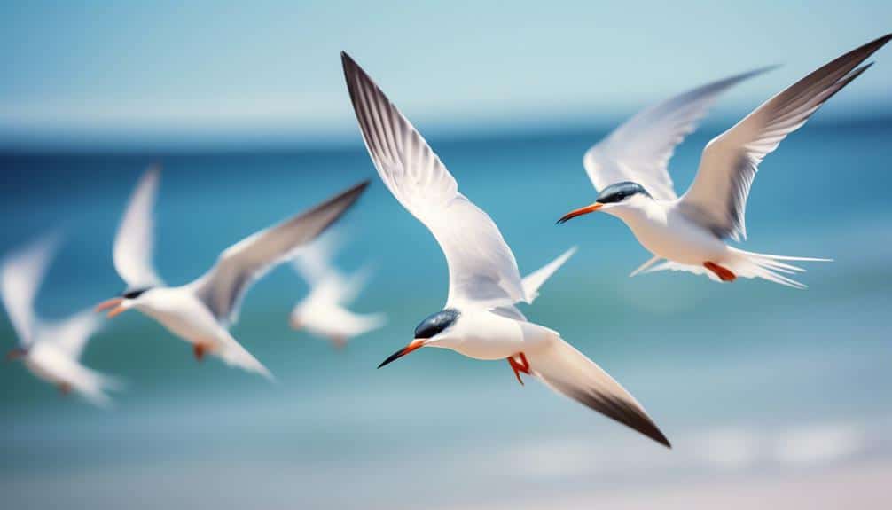 graceful birds with pointed bills