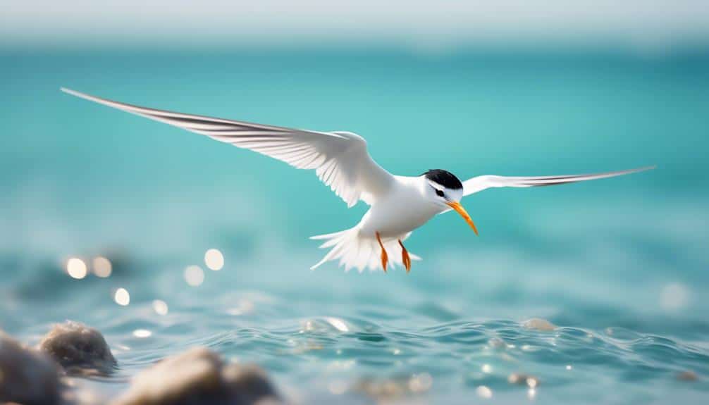 endangered seabird species