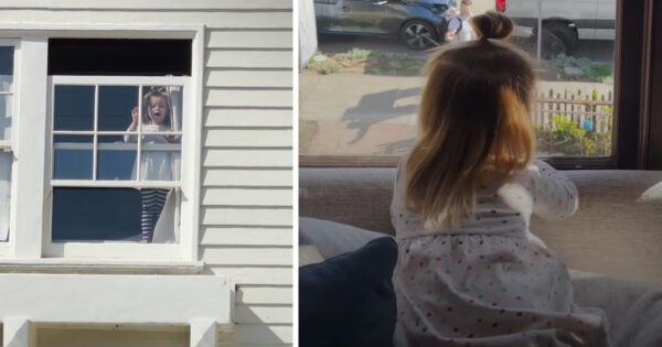 Two-Year-Old Girl Sees Deaf Dog Walking By Her House Daily And Has To Have Him